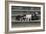 Bull Terrier 03-Bob Langrish-Framed Photographic Print