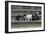 Bull Terrier 03-Bob Langrish-Framed Photographic Print