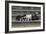 Bull Terrier 03-Bob Langrish-Framed Photographic Print