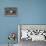 Bull Terrier 03-Bob Langrish-Framed Premier Image Canvas displayed on a wall