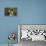 Bull Terrier 05-Bob Langrish-Framed Premier Image Canvas displayed on a wall