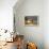 Bull Terrier 14-Bob Langrish-Framed Premier Image Canvas displayed on a wall