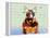 Bull Terrier Brown Oxide LX-Fernando Palma-Framed Premier Image Canvas