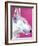 Bull Terrier - Bubble Gum-Dawgart-Framed Giclee Print