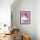 Bull Terrier - Bubble Gum-Dawgart-Framed Giclee Print displayed on a wall