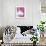 Bull Terrier - Bubble Gum-Dawgart-Framed Premium Giclee Print displayed on a wall