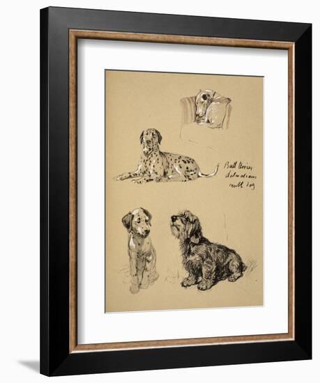 Bull Terrier, Dalmatians and Mutt Dog, 1930, Just Among Friends, Aldin, Cecil Charles Windsor-Cecil Aldin-Framed Giclee Print