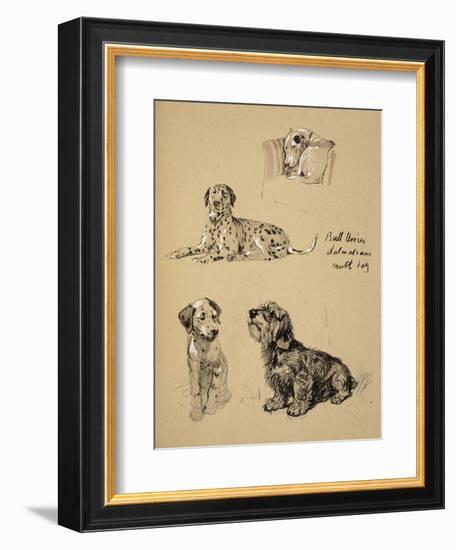 Bull Terrier, Dalmatians and Mutt Dog, 1930, Just Among Friends, Aldin, Cecil Charles Windsor-Cecil Aldin-Framed Giclee Print