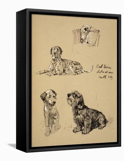 Bull Terrier, Dalmatians and Mutt Dog, 1930, Just Among Friends, Aldin, Cecil Charles Windsor-Cecil Aldin-Framed Premier Image Canvas