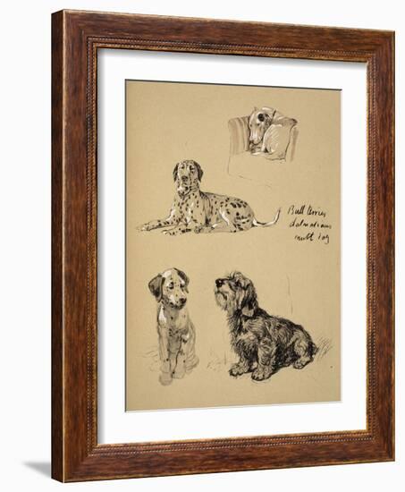 Bull Terrier, Dalmatians and Mutt Dog, 1930, Just Among Friends, Aldin, Cecil Charles Windsor-Cecil Aldin-Framed Giclee Print