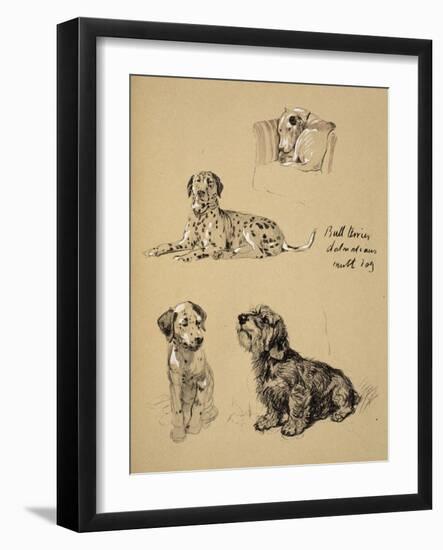 Bull Terrier, Dalmatians and Mutt Dog, 1930, Just Among Friends, Aldin, Cecil Charles Windsor-Cecil Aldin-Framed Giclee Print