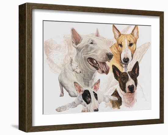 Bull Terrier with Ghost Image-Barbara Keith-Framed Giclee Print