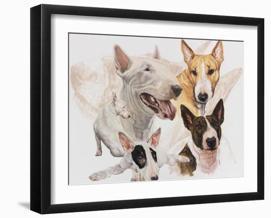 Bull Terrier with Ghost Image-Barbara Keith-Framed Giclee Print