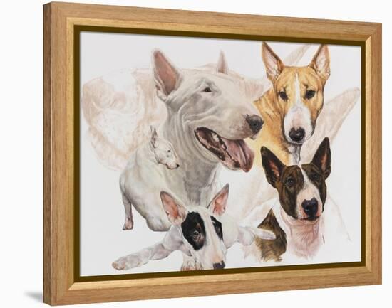 Bull Terrier with Ghost Image-Barbara Keith-Framed Premier Image Canvas