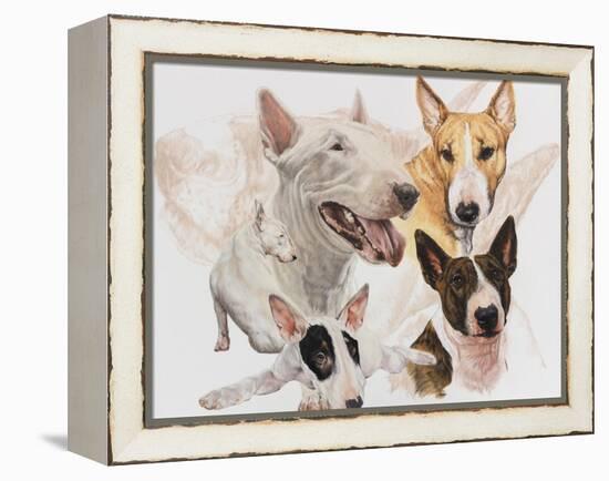 Bull Terrier with Ghost Image-Barbara Keith-Framed Premier Image Canvas