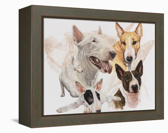 Bull Terrier with Ghost Image-Barbara Keith-Framed Premier Image Canvas