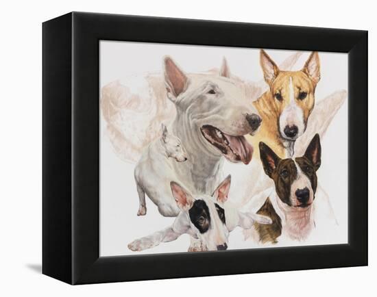 Bull Terrier with Ghost Image-Barbara Keith-Framed Premier Image Canvas