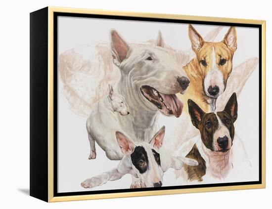 Bull Terrier with Ghost Image-Barbara Keith-Framed Premier Image Canvas