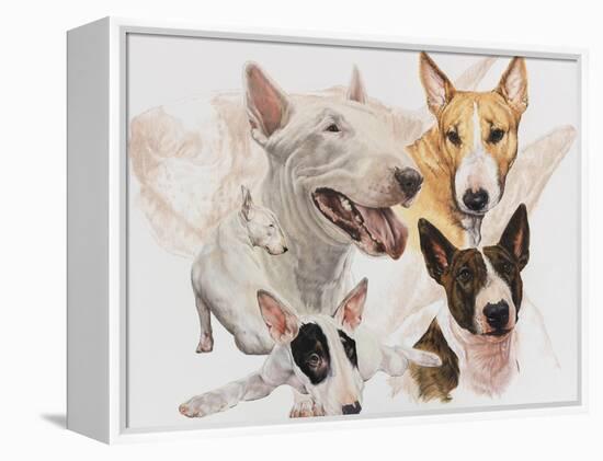 Bull Terrier with Ghost Image-Barbara Keith-Framed Premier Image Canvas