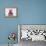 Bull Terrier XI-Fernando Palma-Framed Premier Image Canvas displayed on a wall
