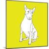 Bull Terrier-Anna Nyberg-Mounted Giclee Print