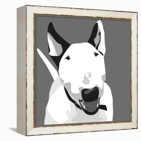 Bull Terrier-Emily Burrowes-Framed Stretched Canvas