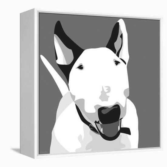 Bull Terrier-Emily Burrowes-Framed Stretched Canvas