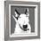 Bull Terrier-Emily Burrowes-Framed Art Print