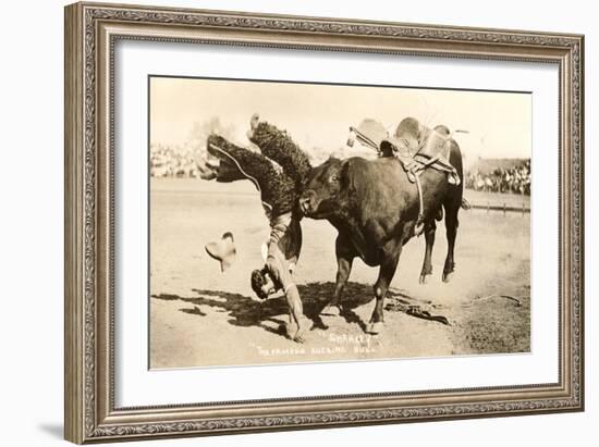 Bull Throwing Rodeo Rider-null-Framed Art Print