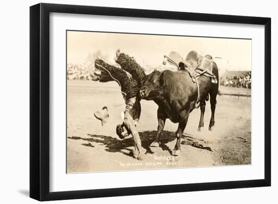 Bull Throwing Rodeo Rider-null-Framed Art Print