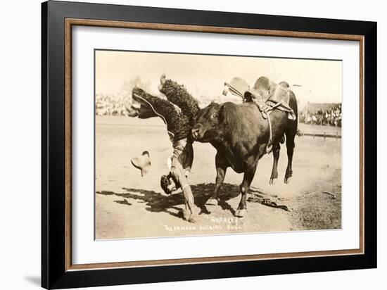 Bull Throwing Rodeo Rider-null-Framed Art Print