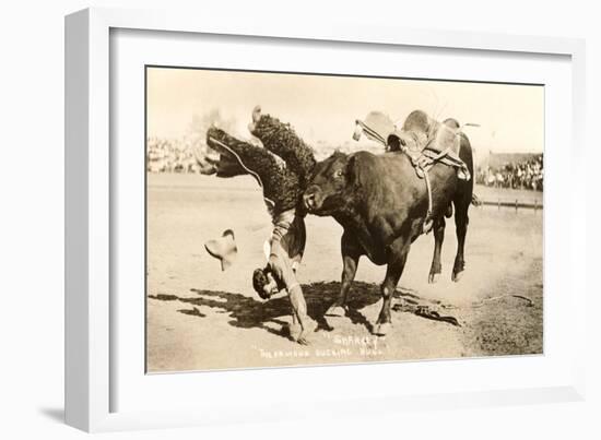 Bull Throwing Rodeo Rider-null-Framed Art Print