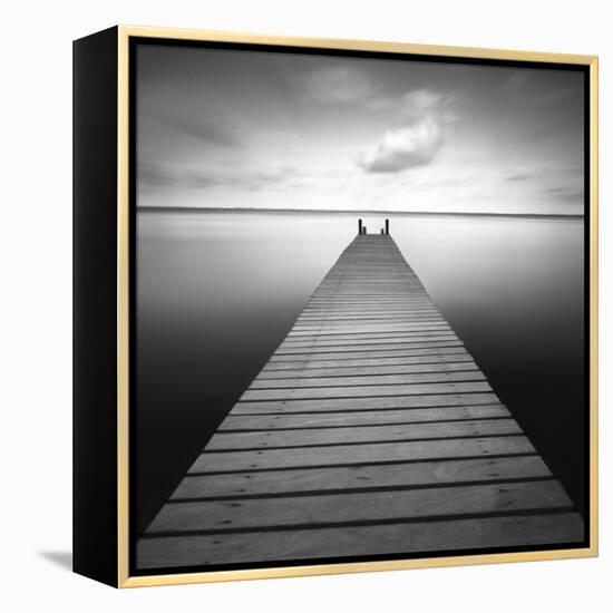 Bull-Moises Levy-Framed Stretched Canvas