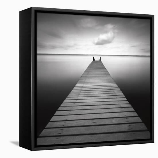 Bull-Moises Levy-Framed Premier Image Canvas