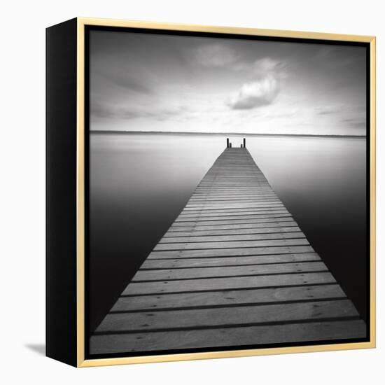 Bull-Moises Levy-Framed Premier Image Canvas