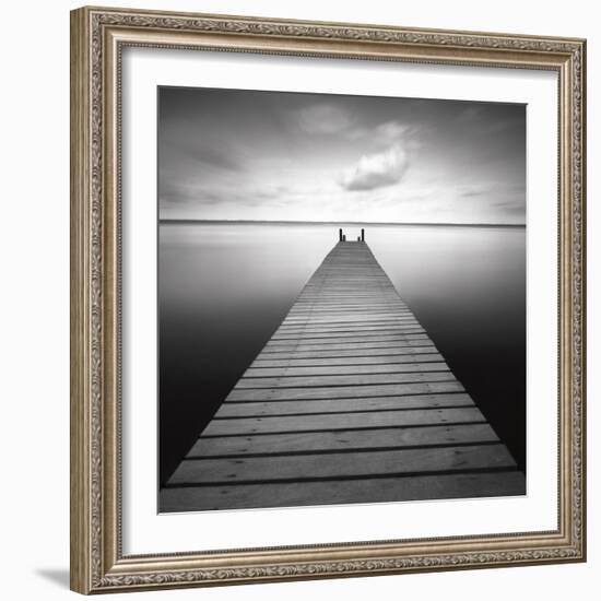 Bull-Moises Levy-Framed Photographic Print