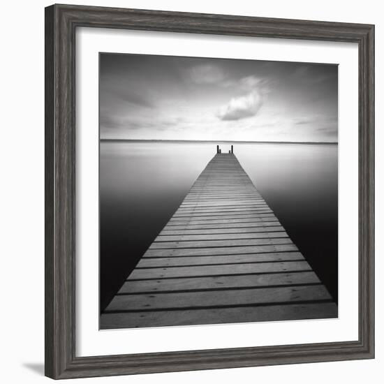 Bull-Moises Levy-Framed Photographic Print