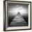 Bull-Moises Levy-Framed Photographic Print