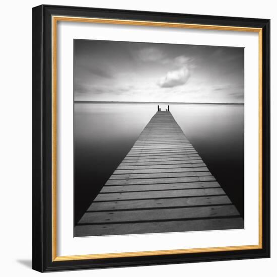 Bull-Moises Levy-Framed Photographic Print