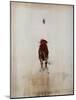 Bull-Daniel Cacouault-Mounted Giclee Print