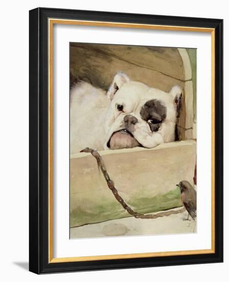 Bulldog, 1927-Cecil Aldin-Framed Giclee Print