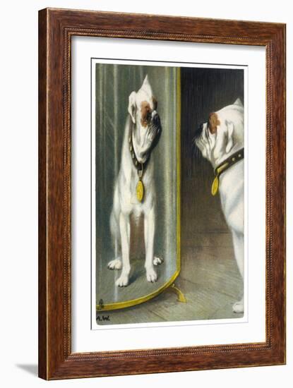 Bulldog Admires Its Reflection in a Distorting Mirror-null-Framed Art Print