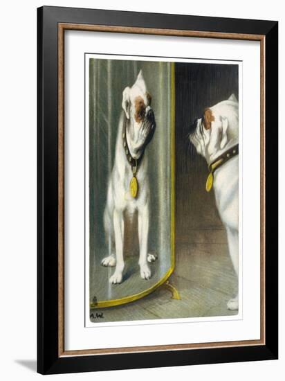 Bulldog Admires Its Reflection in a Distorting Mirror-null-Framed Art Print