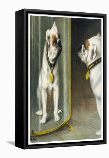 Bulldog Admires Its Reflection in a Distorting Mirror-null-Framed Stretched Canvas