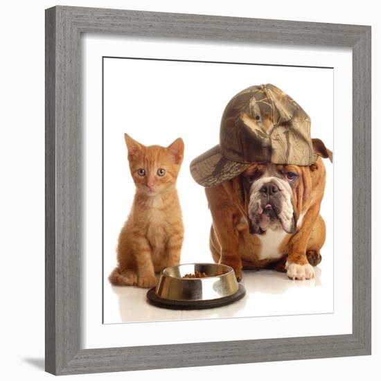 Bulldog and Cat at Food Dish Together-Willee Cole-Framed Photographic Print