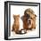 Bulldog and Cat at Food Dish Together-Willee Cole-Framed Photographic Print