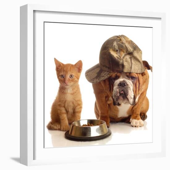 Bulldog and Cat at Food Dish Together-Willee Cole-Framed Photographic Print