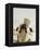Bulldog Balancing Ball on Nose-Larry Williams-Framed Premier Image Canvas