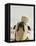 Bulldog Balancing Ball on Nose-Larry Williams-Framed Premier Image Canvas