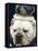 Bulldog Beauty-Charlie Neibergall-Framed Premier Image Canvas